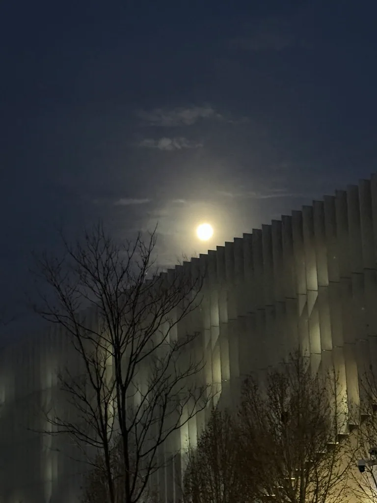 The moon still visible in the sky on the way to an early workout