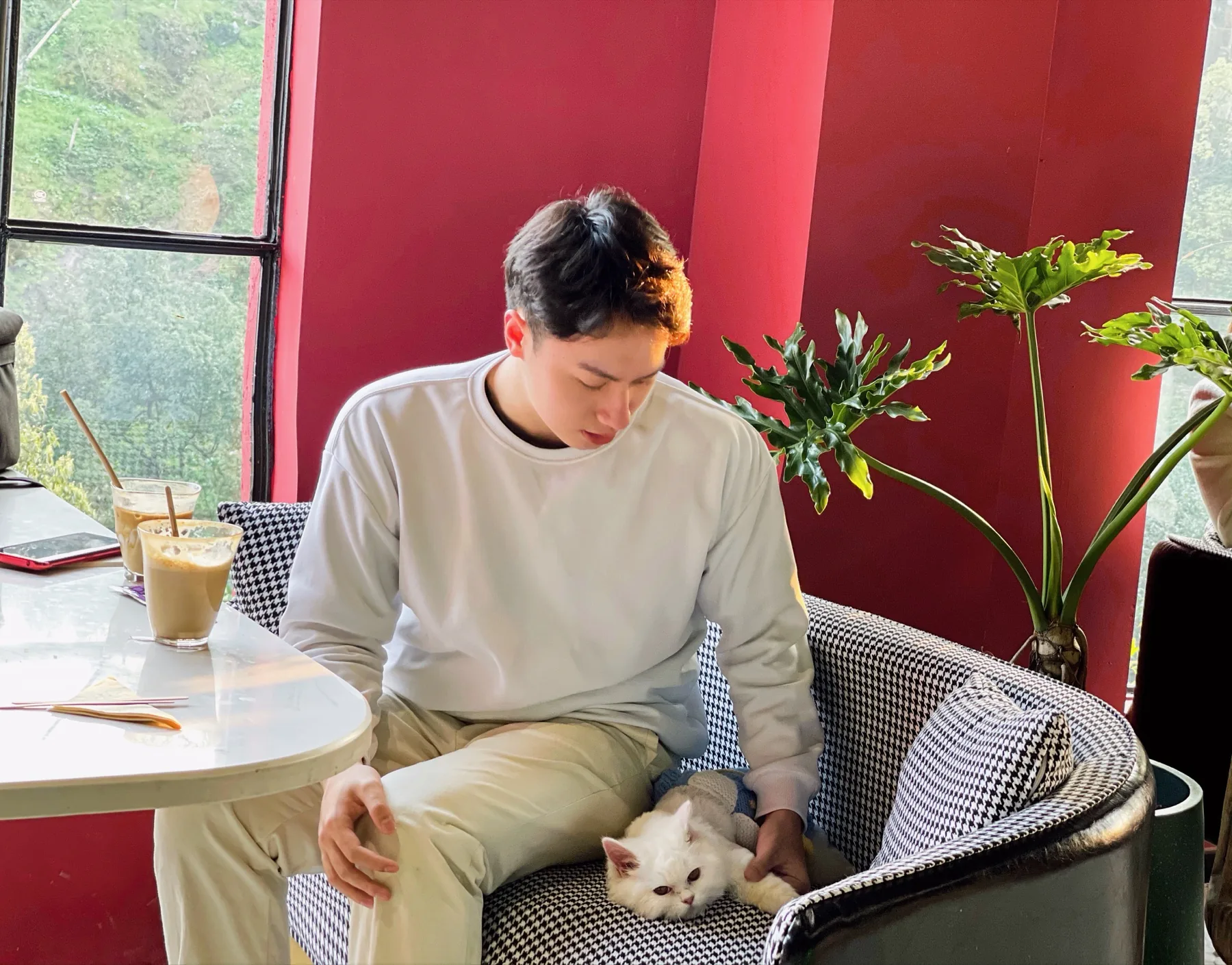 Wynn sitting with a cat at a cafe